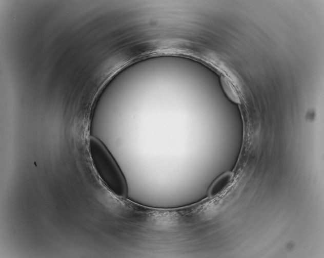 X0000103470809200810031519