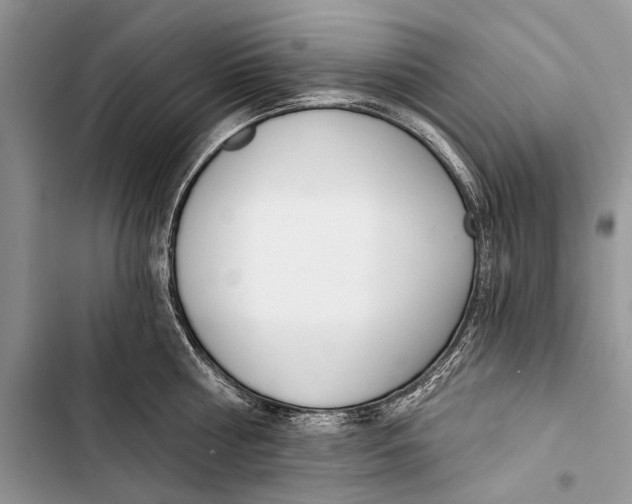 X0000103470810200810031519