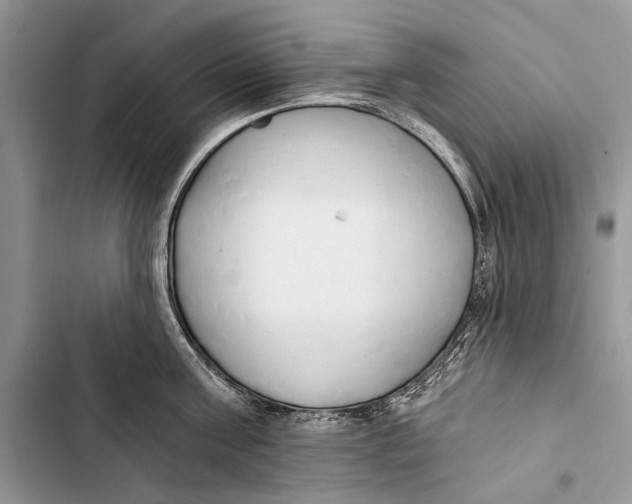 X0000103470811200810031519