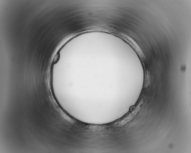 X0000103470812200810031519