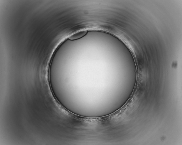 X0000103470813200810031519