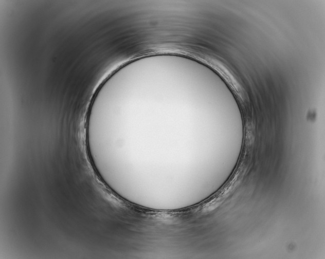 X0000103470814200810031519