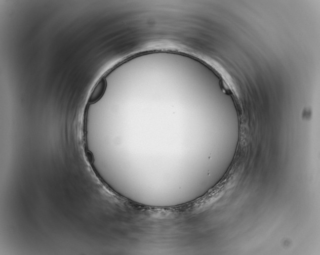 X0000103470815200810031519