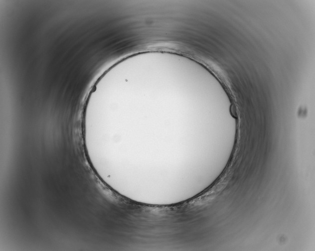 X0000103470816200810031519