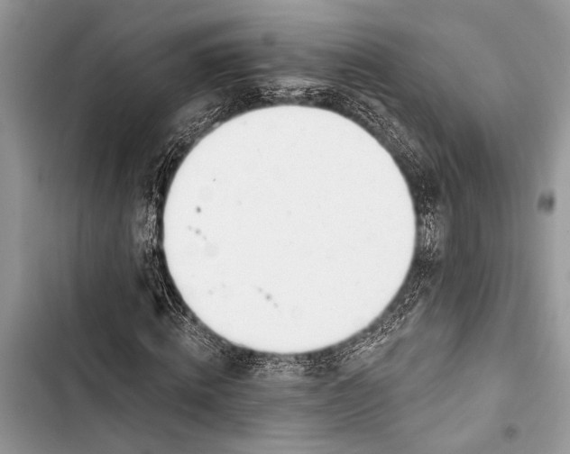 X0000103470820200810031518