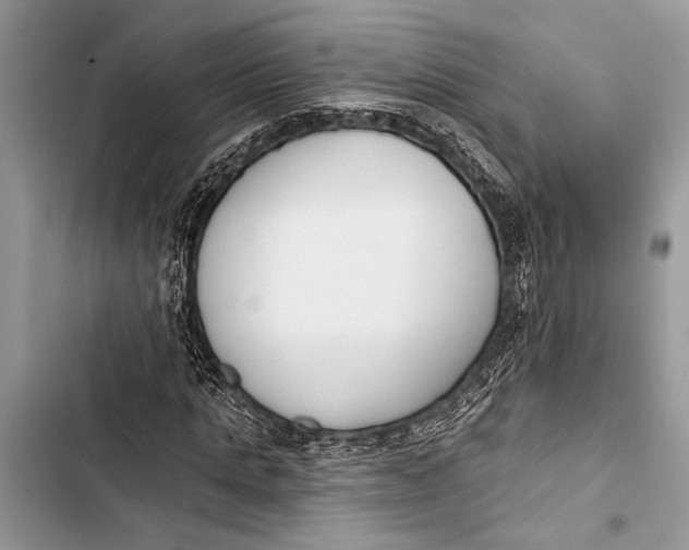 X0000103470821200810031518