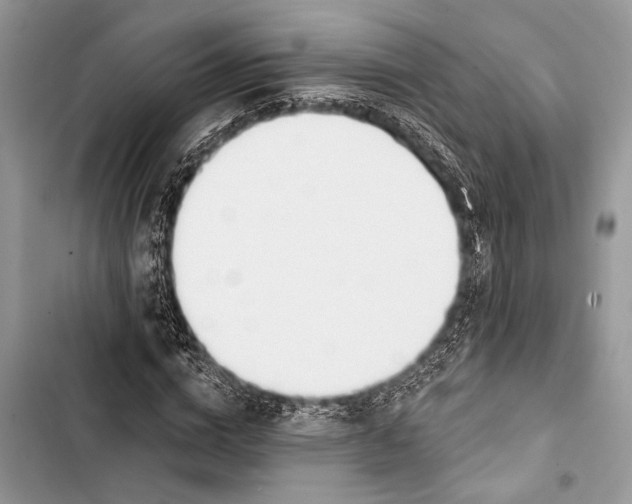 X0000103470824200810031518