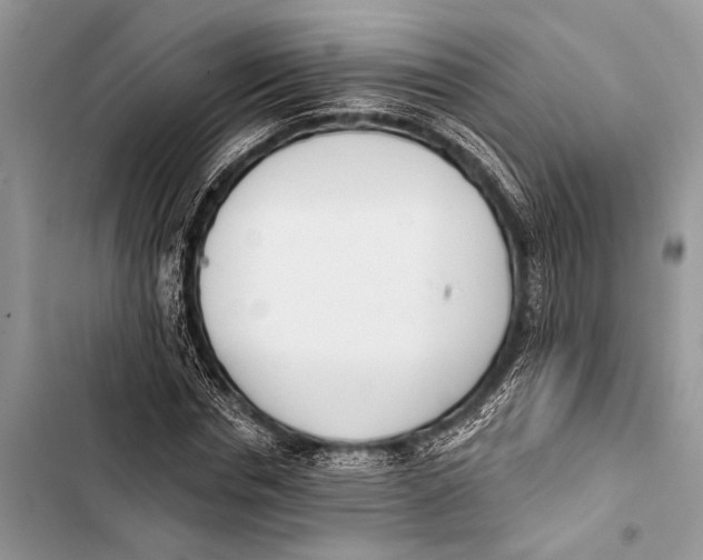 X0000103470826200810031518