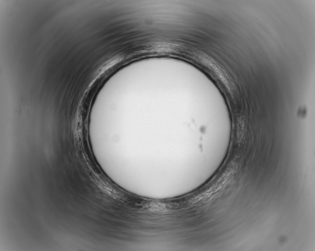 X0000103470827200810031518