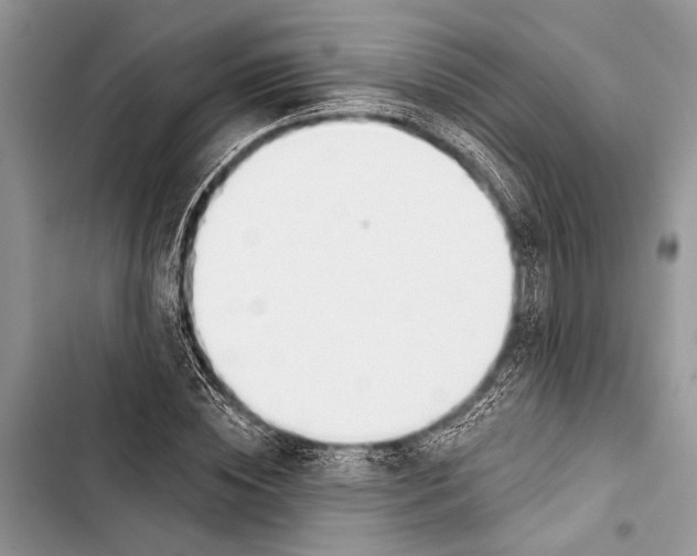 X0000103470828200810031518