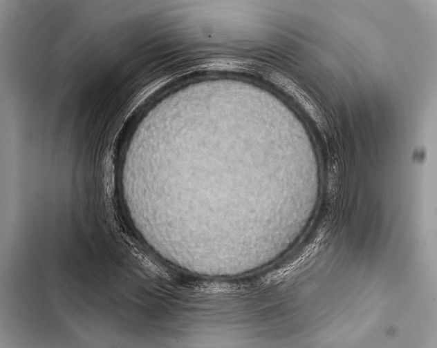 X0000103470829200810031518