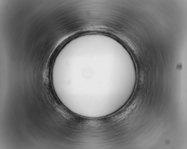 X0000103470830200810031518