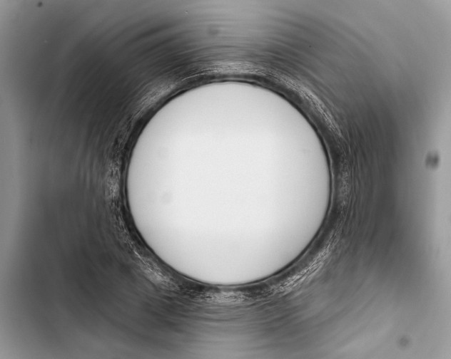 X0000103470833200810031518