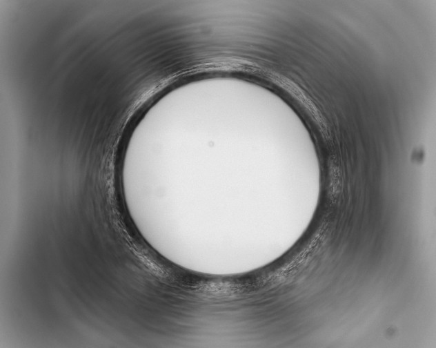 X0000103470834200810031518