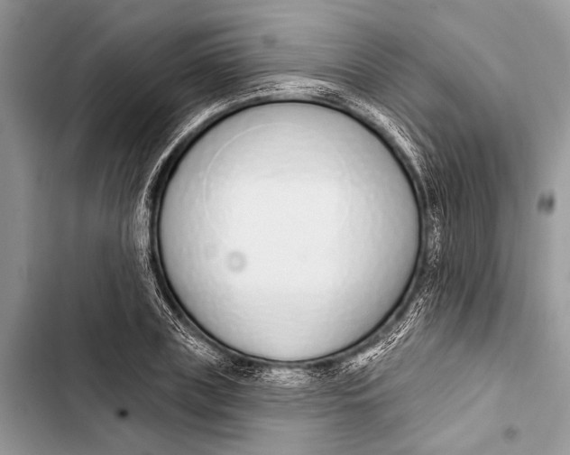 X0000103470835200810031518