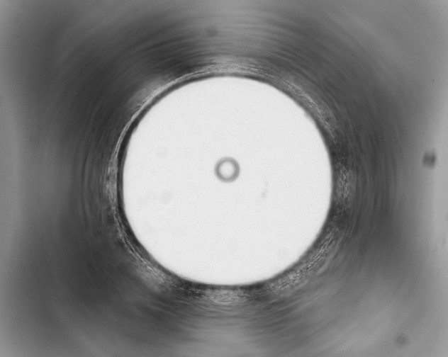 X0000103470836200810031518