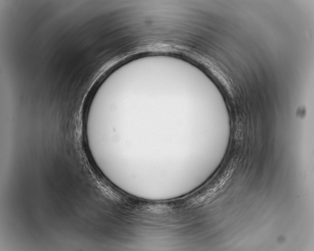 X0000103470837200810031518