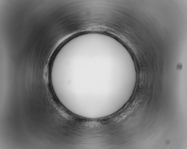 X0000103470838200810031518