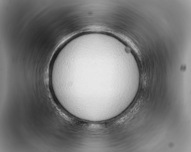 X0000103470839200810031518