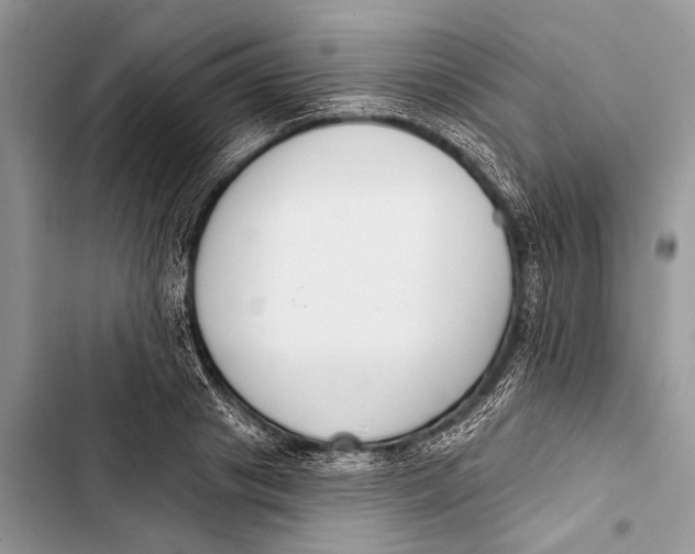 X0000103470841200810031518