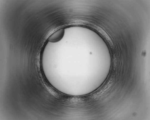 X0000103470842200810031518