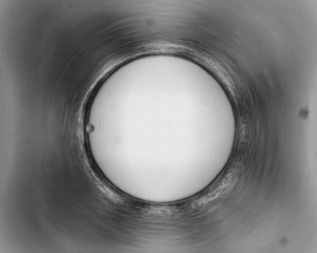 X0000103470843200810031518