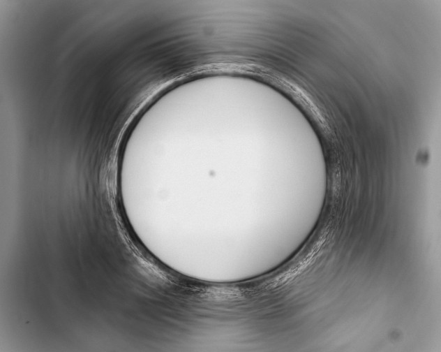 X0000103470844200810031518