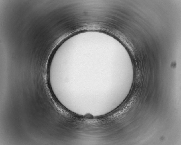 X0000103470845200810031518