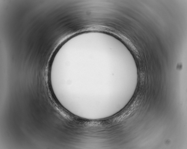 X0000103470846200810031518