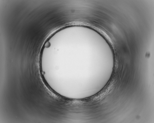 X0000103470847200810031518