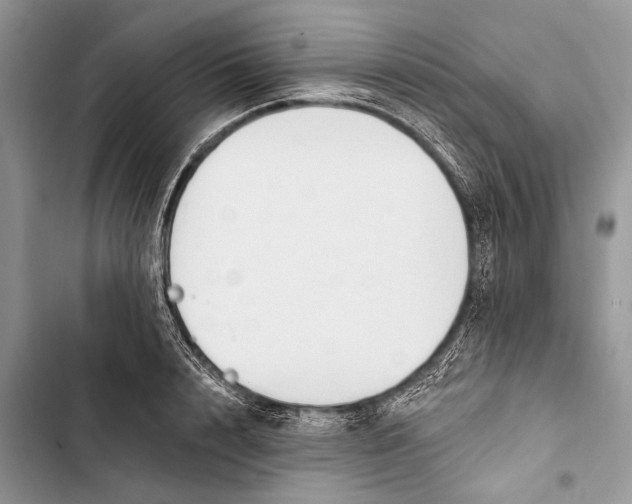 X0000103470848200810031518