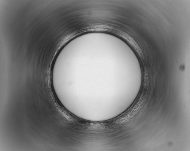 X0000103470850200810031518