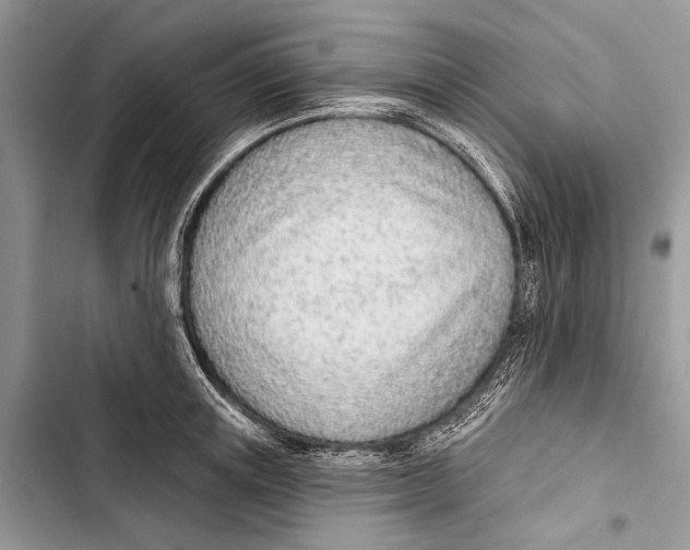 X0000103470851200810031518