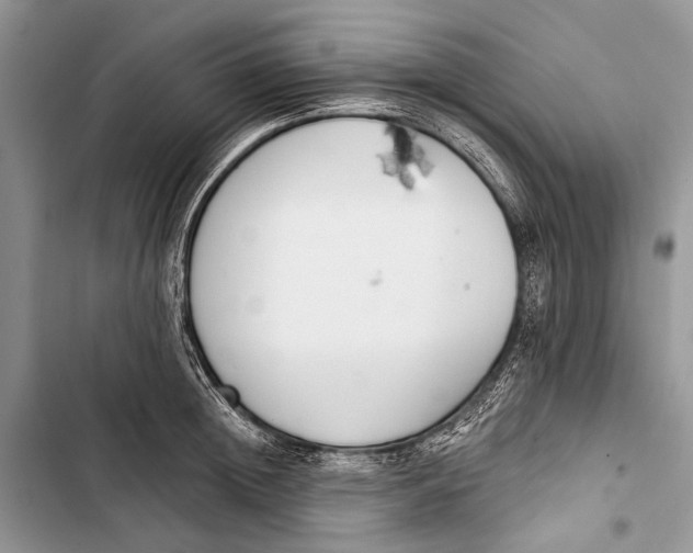 X0000103470852200810031518