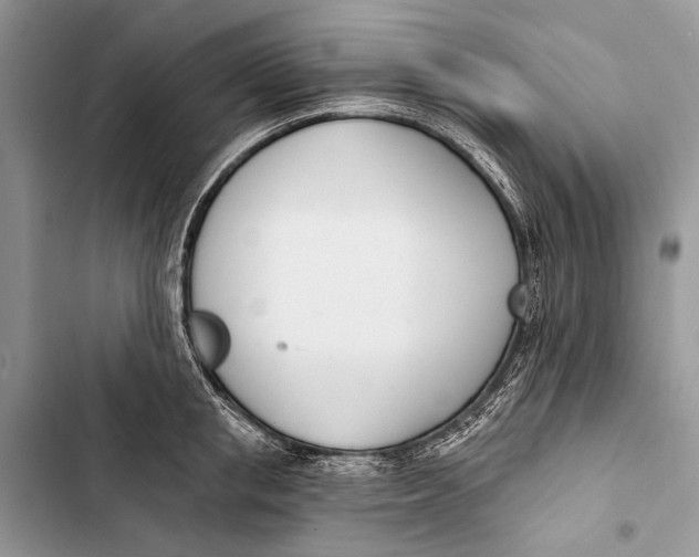 X0000103470853200810031518