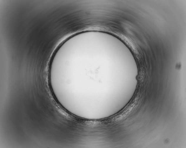 X0000103470854200810031518