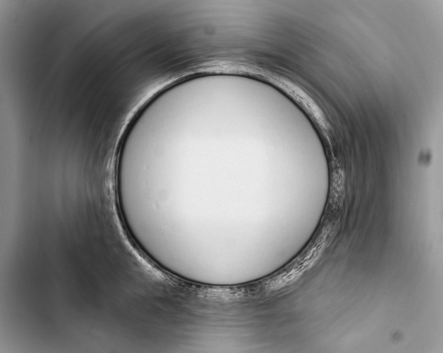 X0000103470855200810031518