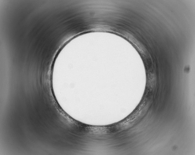 X0000103470856200810031518