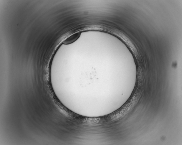 X0000103470858200810031518