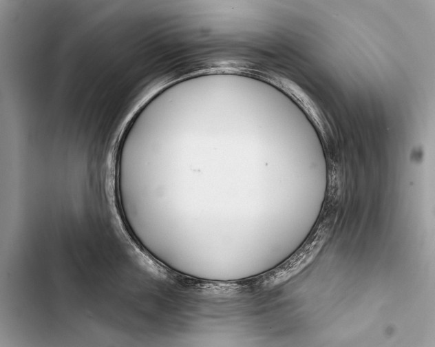 X0000103470859200810031518