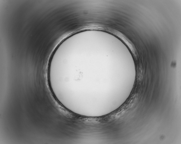 X0000103470861200810031519