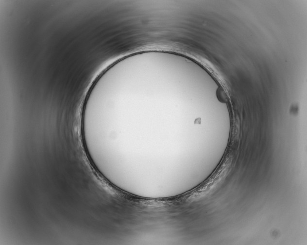 X0000103470862200810031519