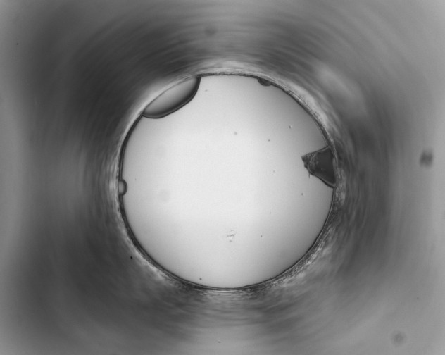 X0000103470863200810031519