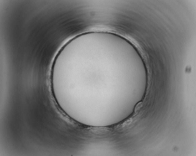 X0000103470864200810031519