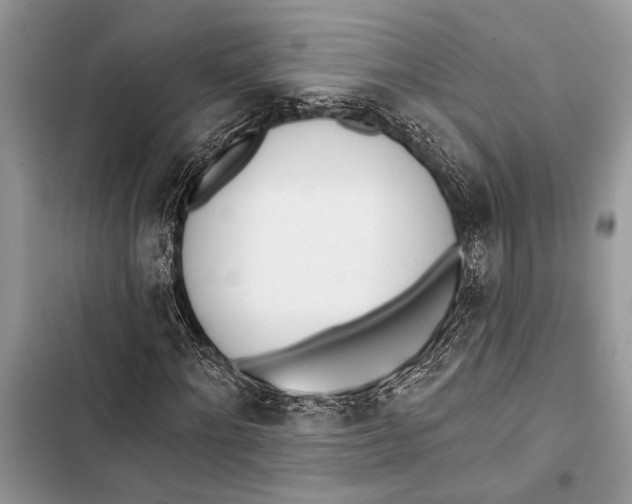 X0000103470868200810031518