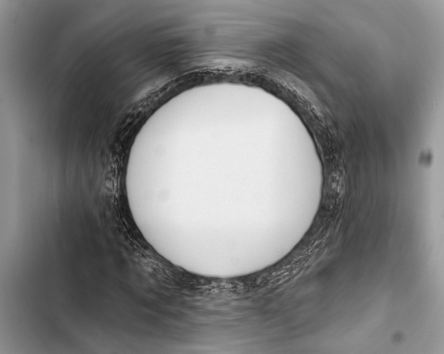 X0000103470869200810031518