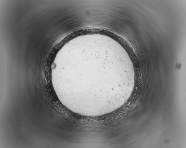 X0000103470871200810031518