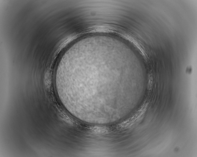 X0000103470874200810031518