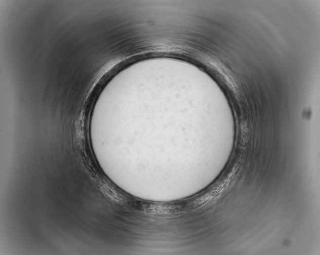 X0000103470875200810031518