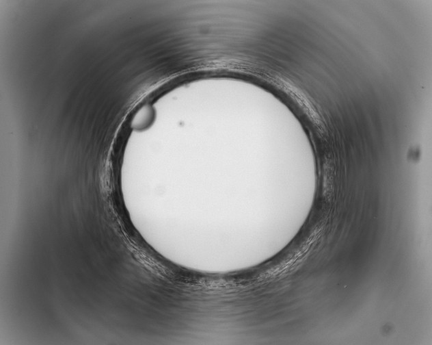 X0000103470876200810031518